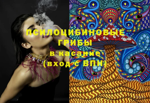 трава Арсеньев
